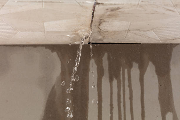 Professional Structural Drying technician working in Augusta, OH